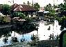 North_Sulawesi-88nb.jpg